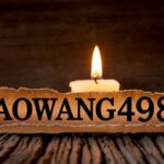 Laowang4985 SE